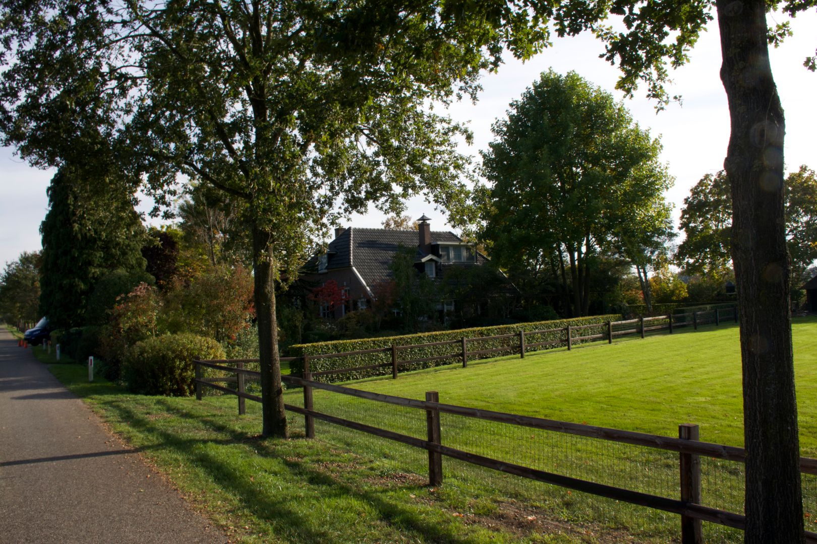 Hoveniersbedrijf Polman